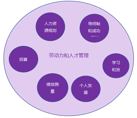 1640354667081-129.png